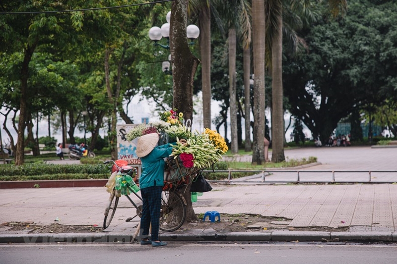 'Hoa của tháng Tư' khoe sắc trên phố phường Hà Nội